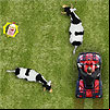 Jeu : Quad Racer